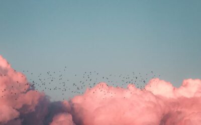 How to Thrive in a Cloud-Native Culture – Outside the Cloud