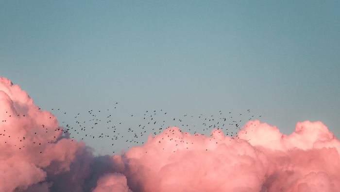 How to Thrive in a Cloud-Native Culture – Outside the Cloud